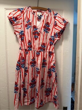 Red & Blue Striped Floral Mini Dress